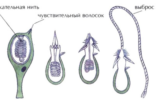 Кракен сегодня сайт зеркало